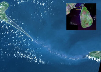 தரைப்பாதை அமைக்கப்பட்டால் இலங்கை தமிழ் நாட்டின் ஒரு பகுதியாக மாறும் : எச்சரிக்கும் கர்தினால்